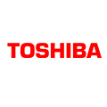 logo tashiba